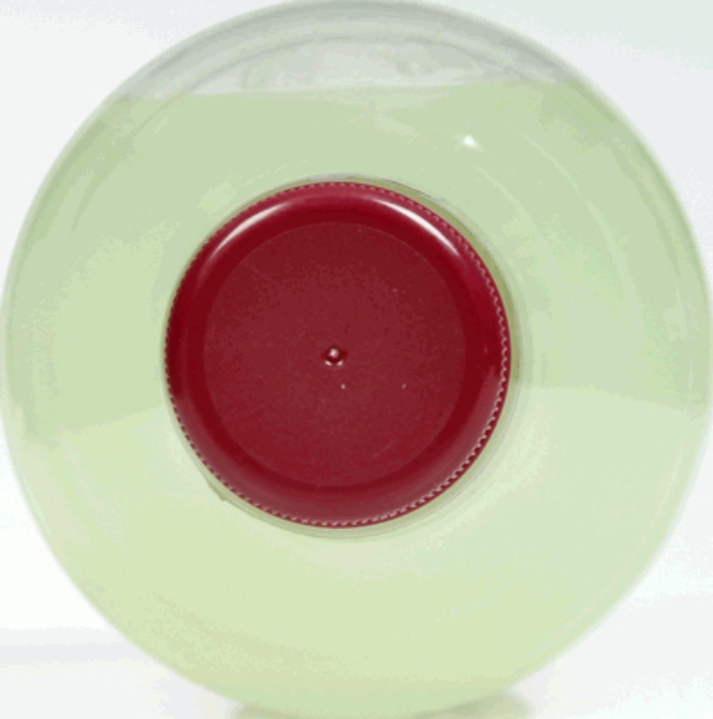 Product gallery 210684000