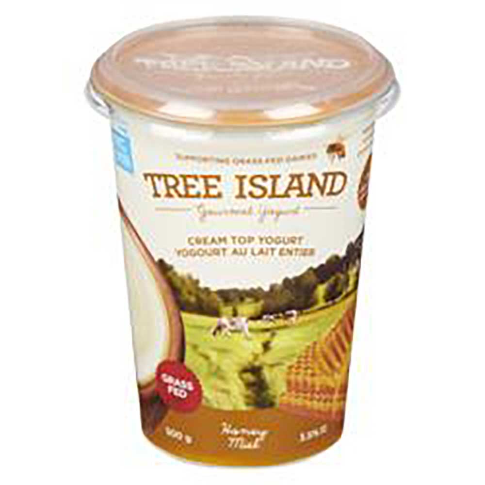 Tree Island Yogourt À La Crème De Miel, 500 G -- 6 Par Boîte