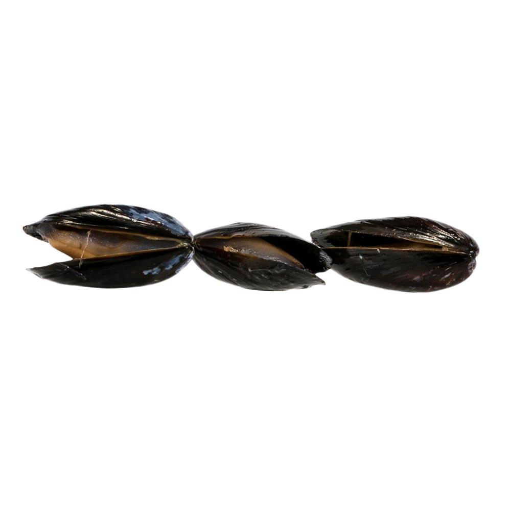 Product gallery 68761277